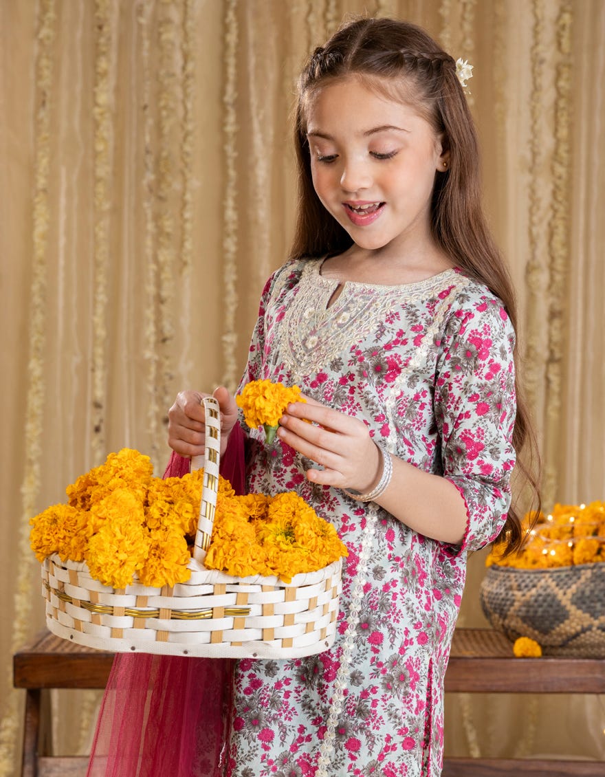 MULTICOLOR LAWN EMBROIDERED 3PC | JGK-S-JGP-25-1542