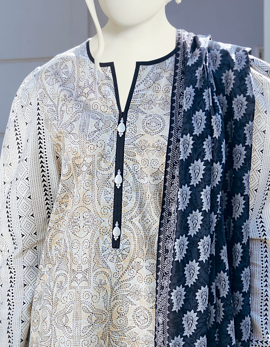 JLAWN-S-22-096 Kashmiri Kari