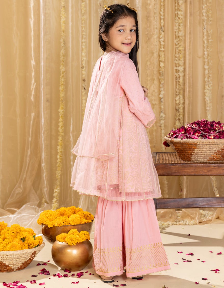 PINK NET EMBROIDERED 3PC | JGKL-S-JGP-25-1520