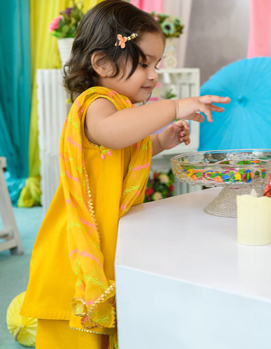 JIK-S-JGIN-22-011 FB/RFD