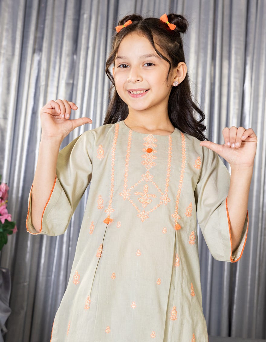 PISTA LAWN EMBROIDERED 2PC STITCHED