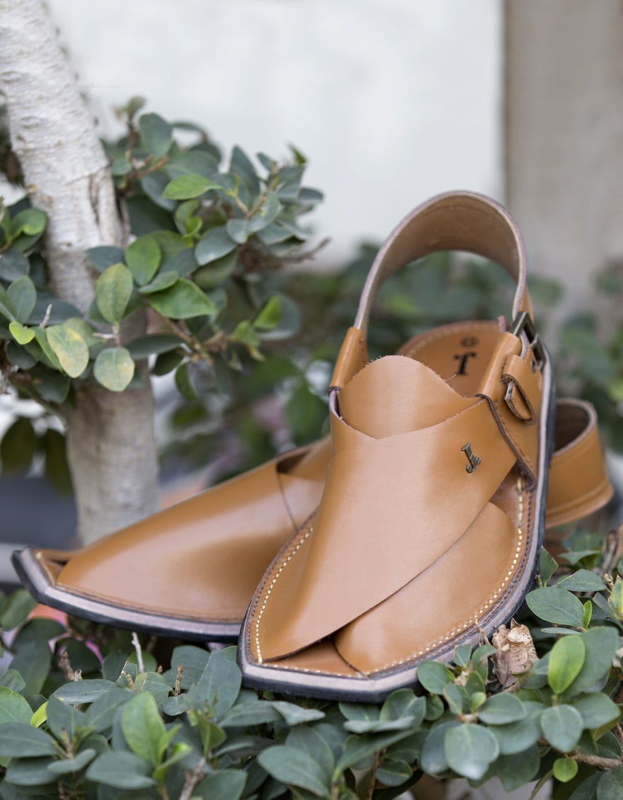 jjfw-jpc-11178-s19-ni-pln