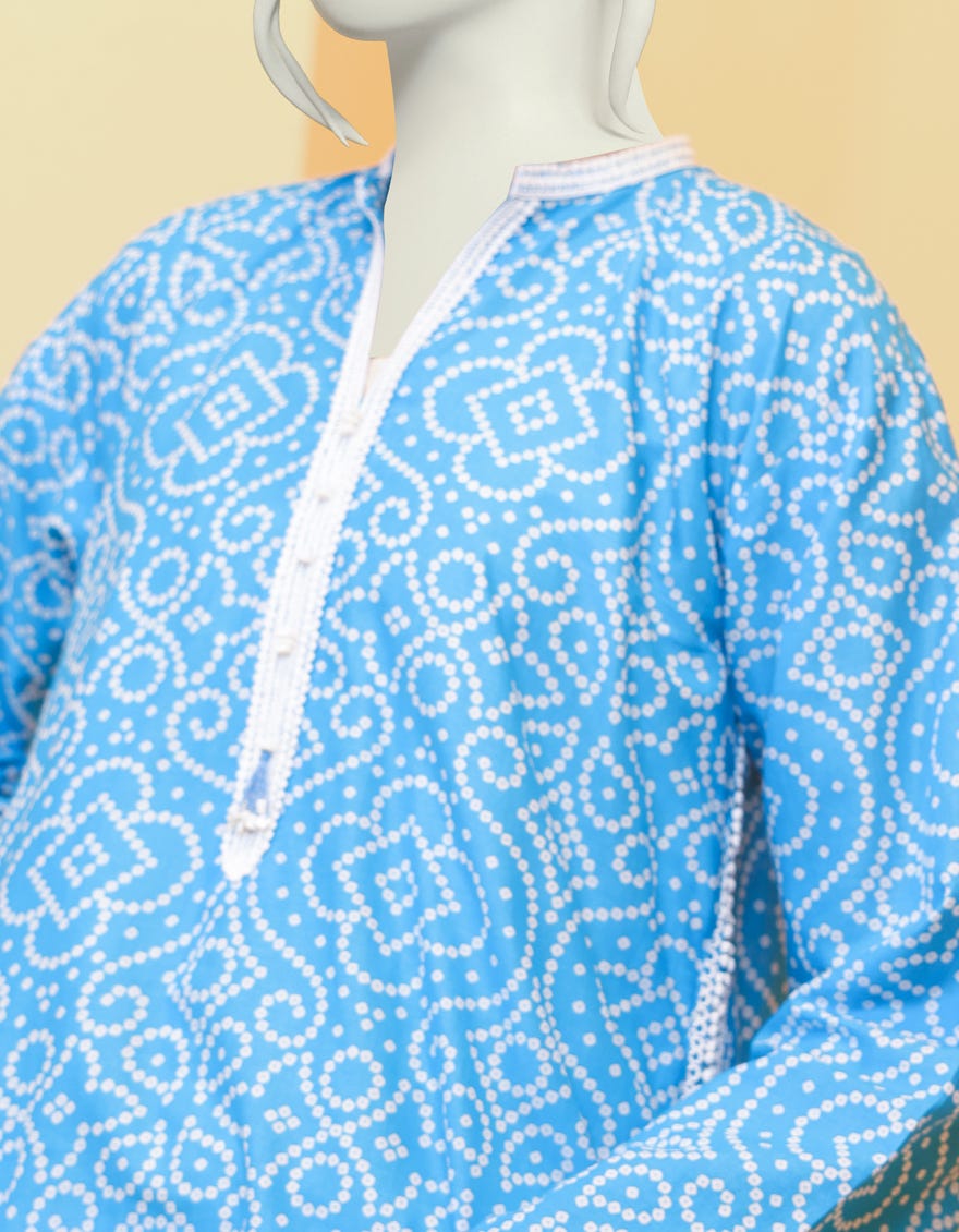 JLAWN-S-JST-22-1651 Hydrangea