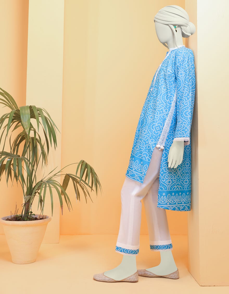 JLAWN-S-JST-22-1651 Hydrangea