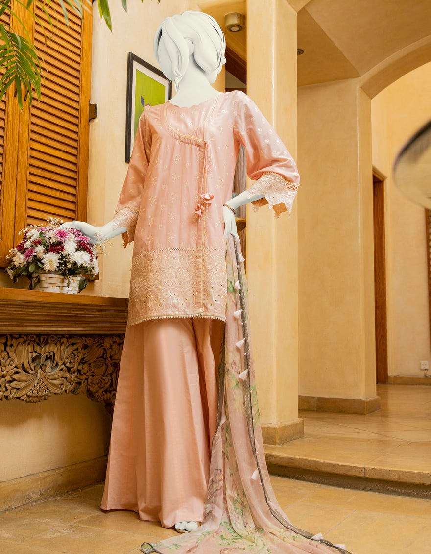 JLAWN-S-20-042 Dusty Miller