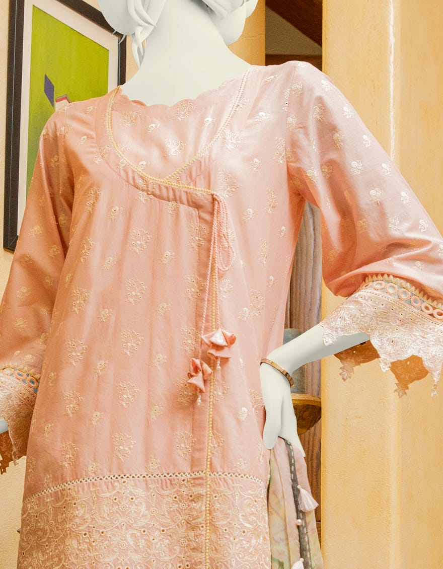 JLAWN-S-20-042 Dusty Miller