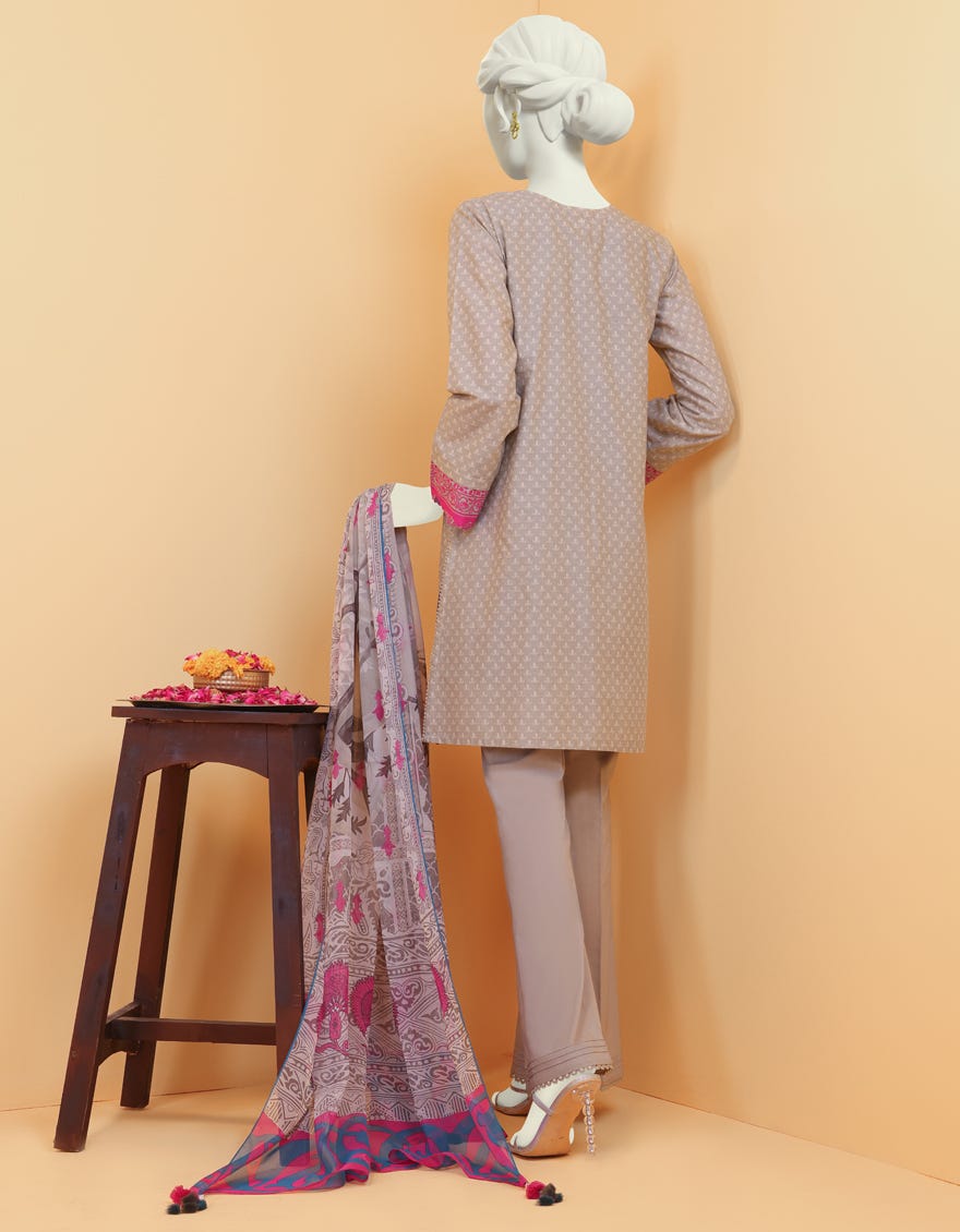 JLAWN-S-JDS-22-1109 Lunar