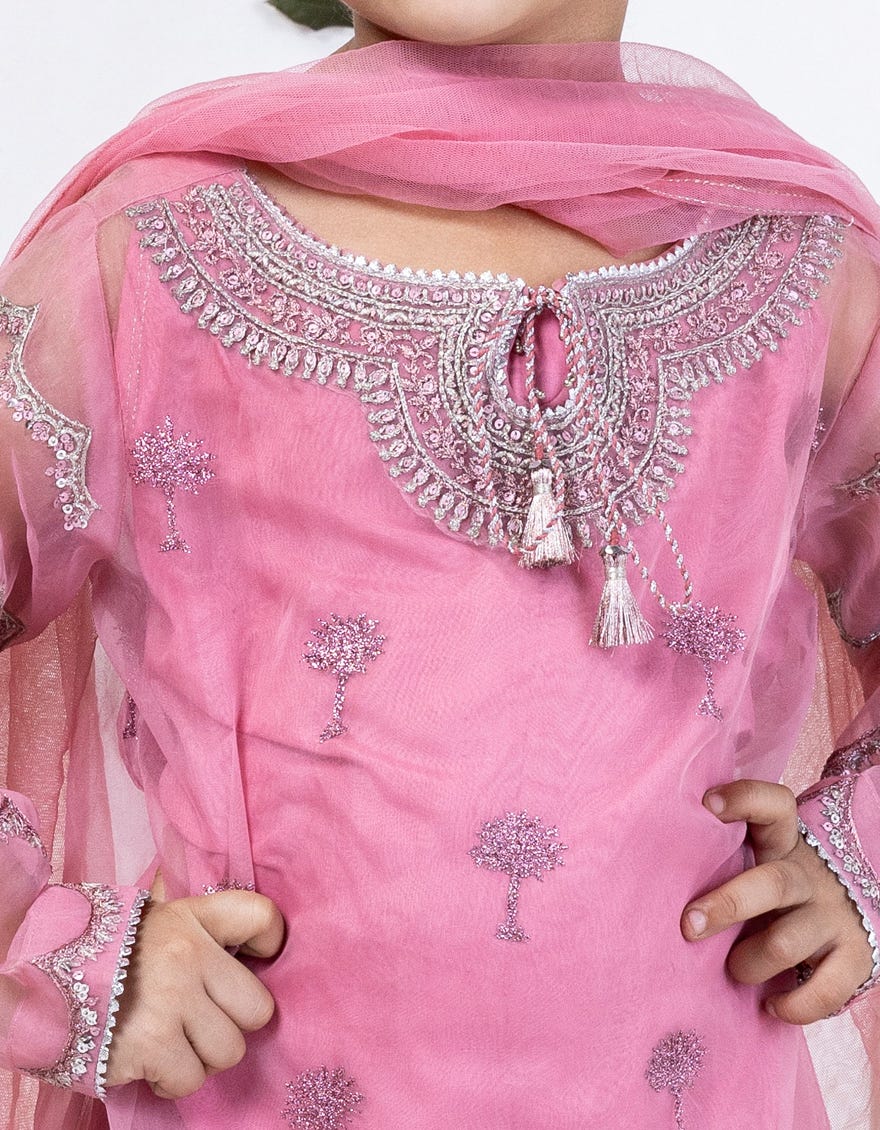 Pink Organza Stitched 3 Piece | Jgk-S-24-1907
