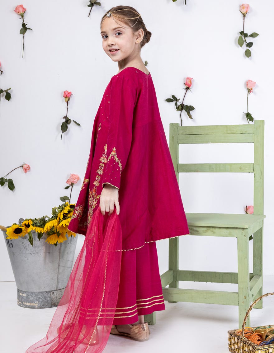 Pink Raw Silk Stitched 3 Piece | Jgk-S-24-1910