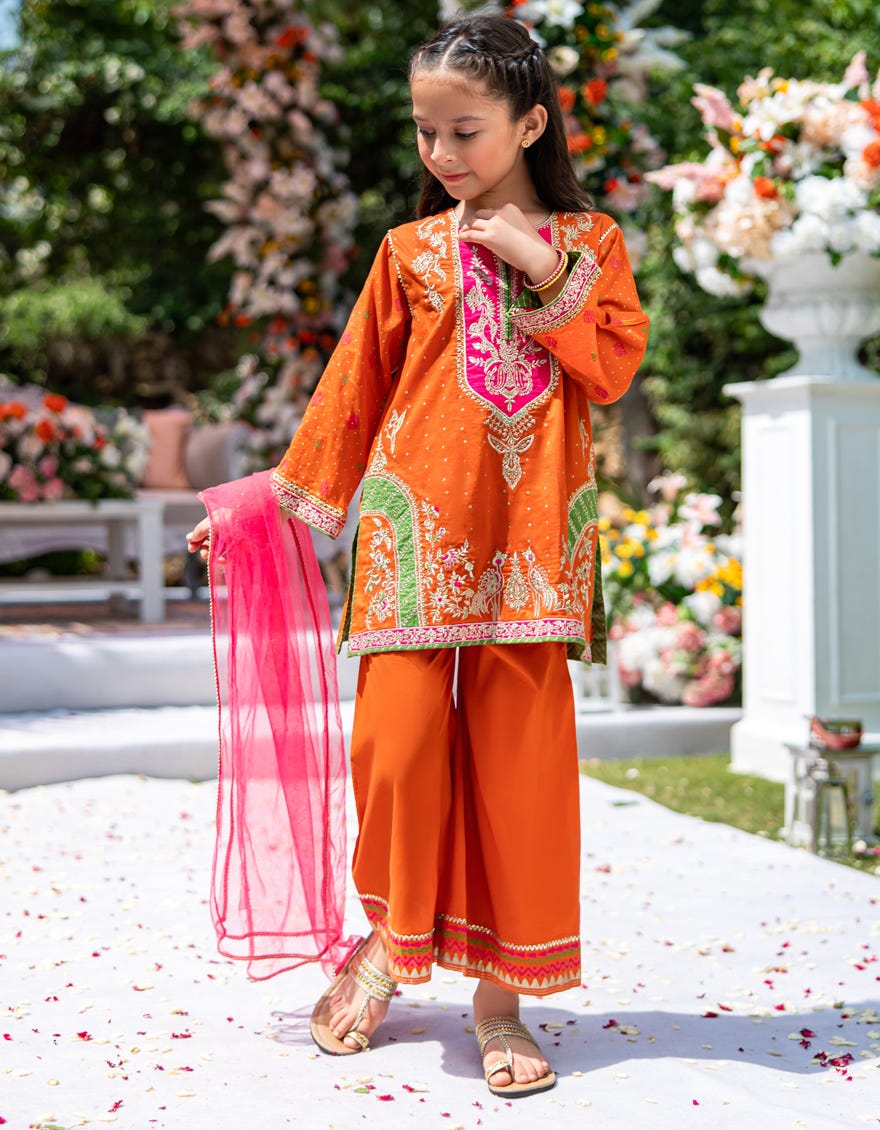 RUST LAWN SILK EMBROIDERED 3PC STITCHED