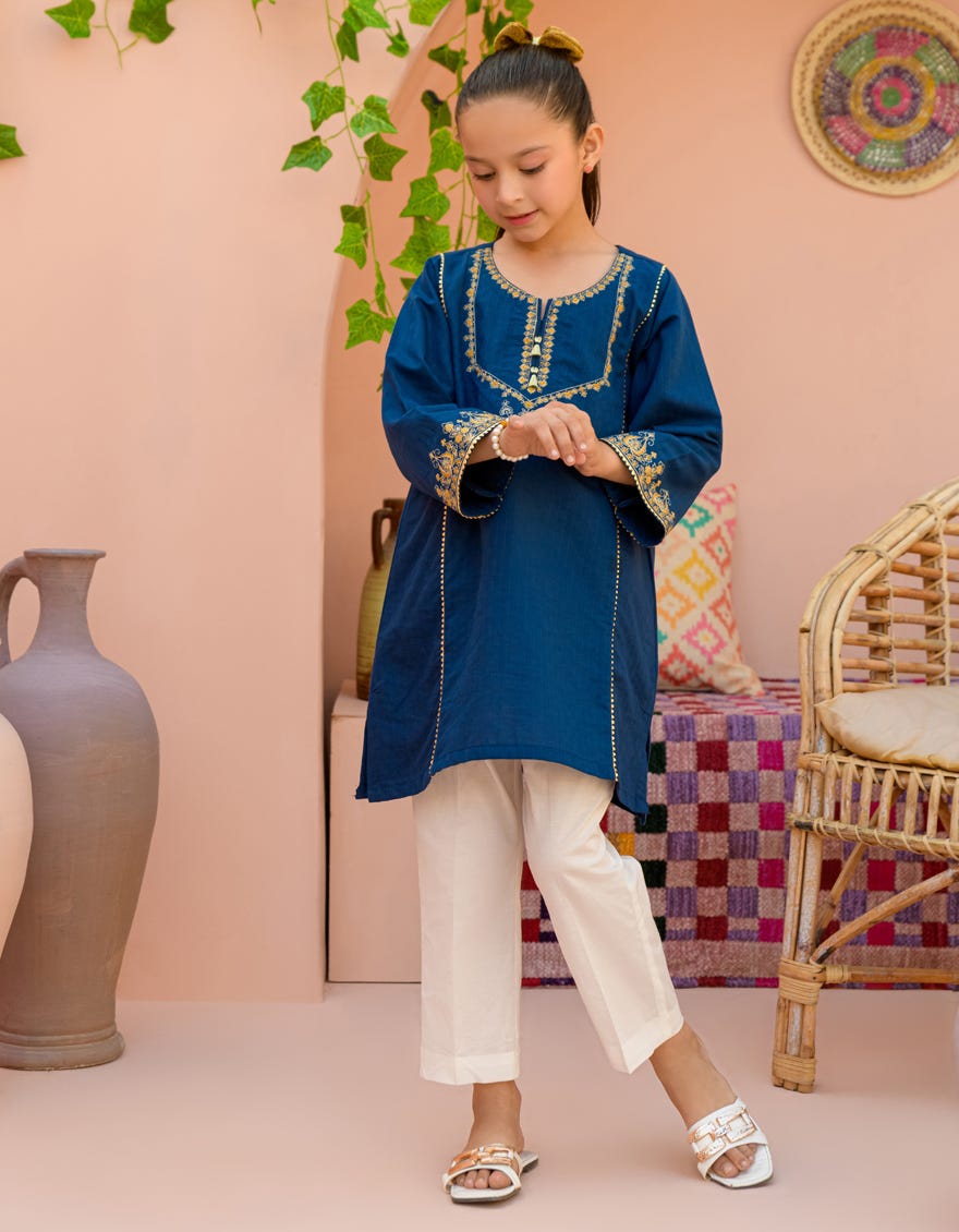 Blue Textured Kurti | Jglk-S-24-2524