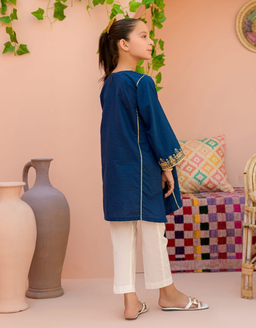 Blue Textured Kurti | Jglk-S-24-2524