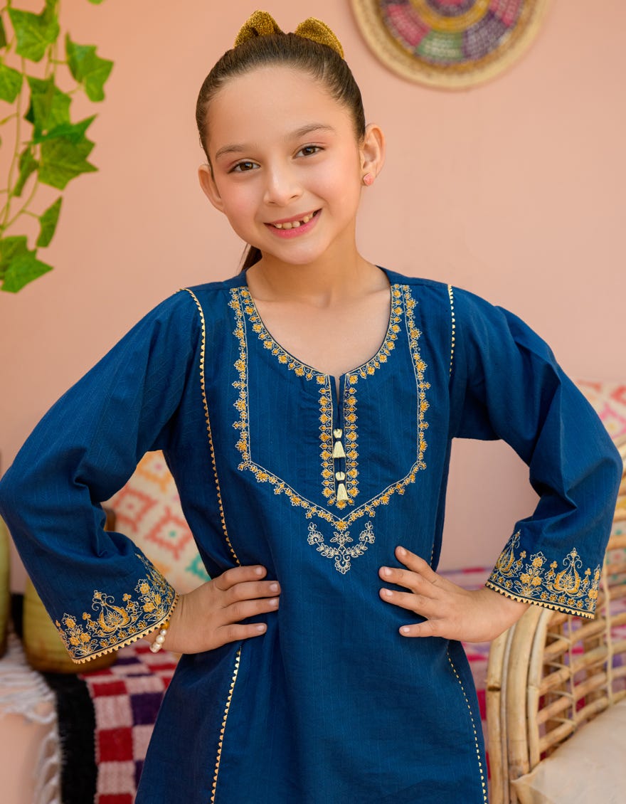 Blue Textured Kurti | Jglk-S-24-2524