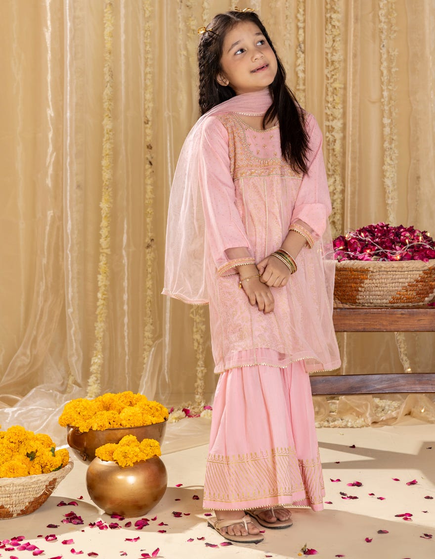 PINK NET EMBROIDERED 3PC | JGKL-S-JGP-25-1520