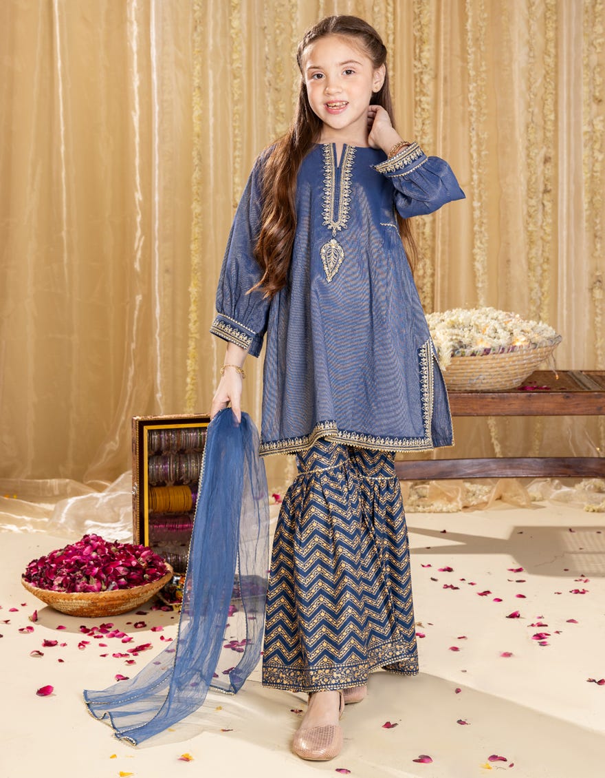 BLUE DOBBY EMBROIDERED 3PC | JGKL-S-JGP-25-1534