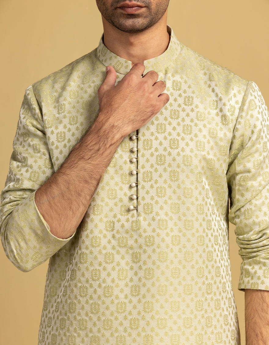 grape-green-blended-special-kurta-jjkspa48209