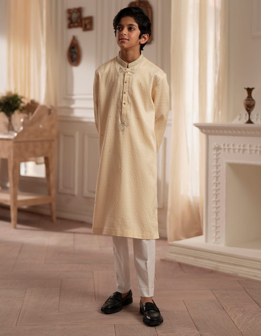 fawn-special-kurta-jckspa48217