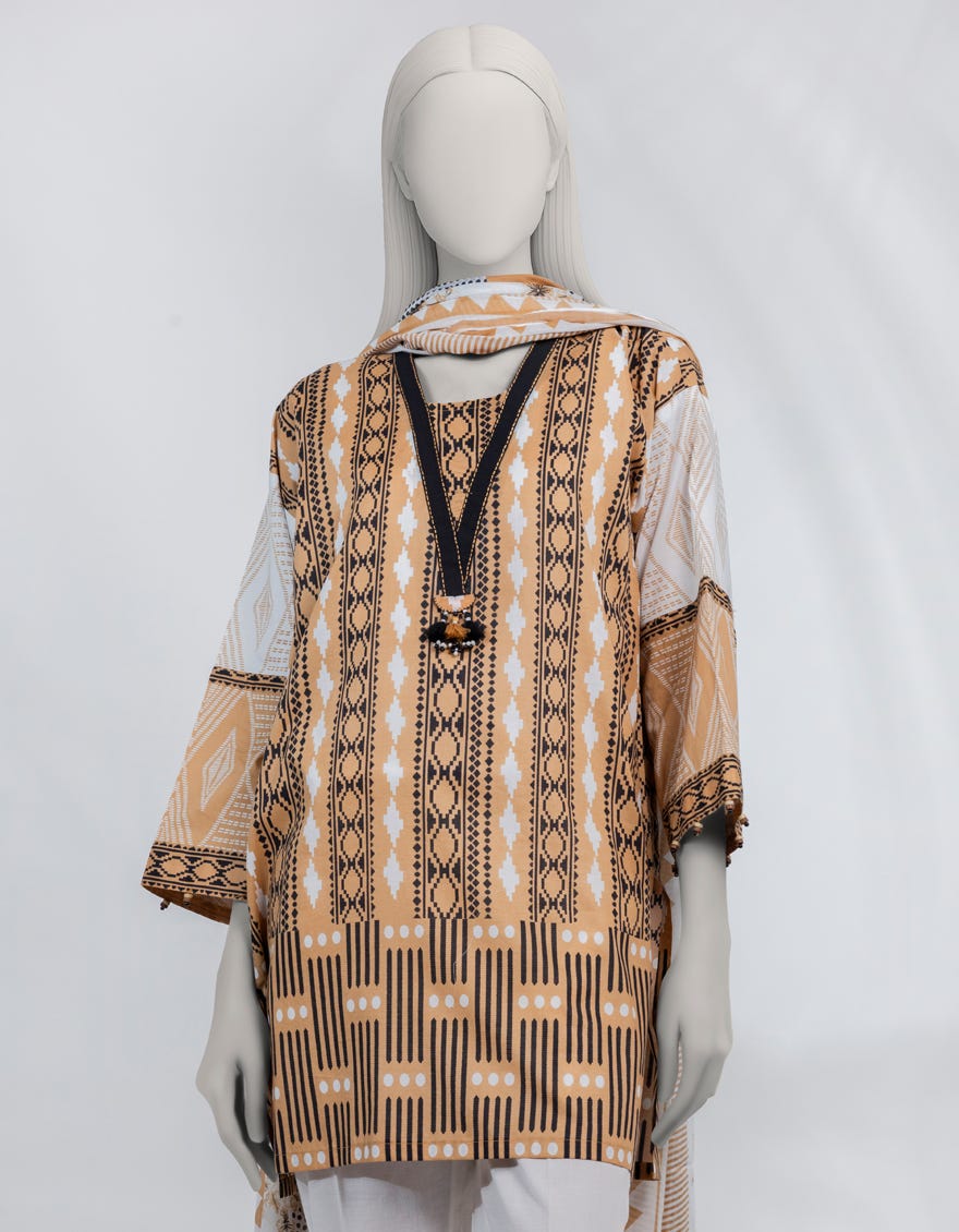 brown-printed-lawn-unstitched-2pc-jds251129u