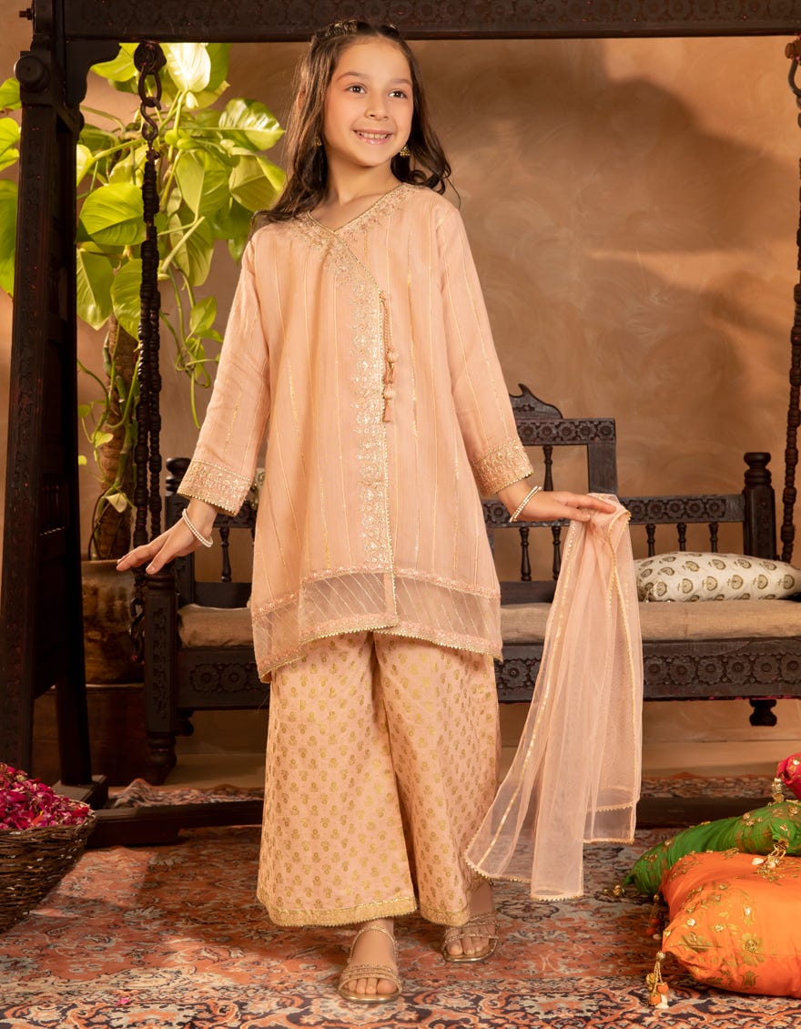 PINK ZARI TAAR EMBROIDERED 3PC STITCHED