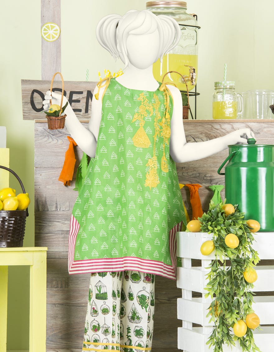 jgkl-s-jk2-19-5607-fb-plants