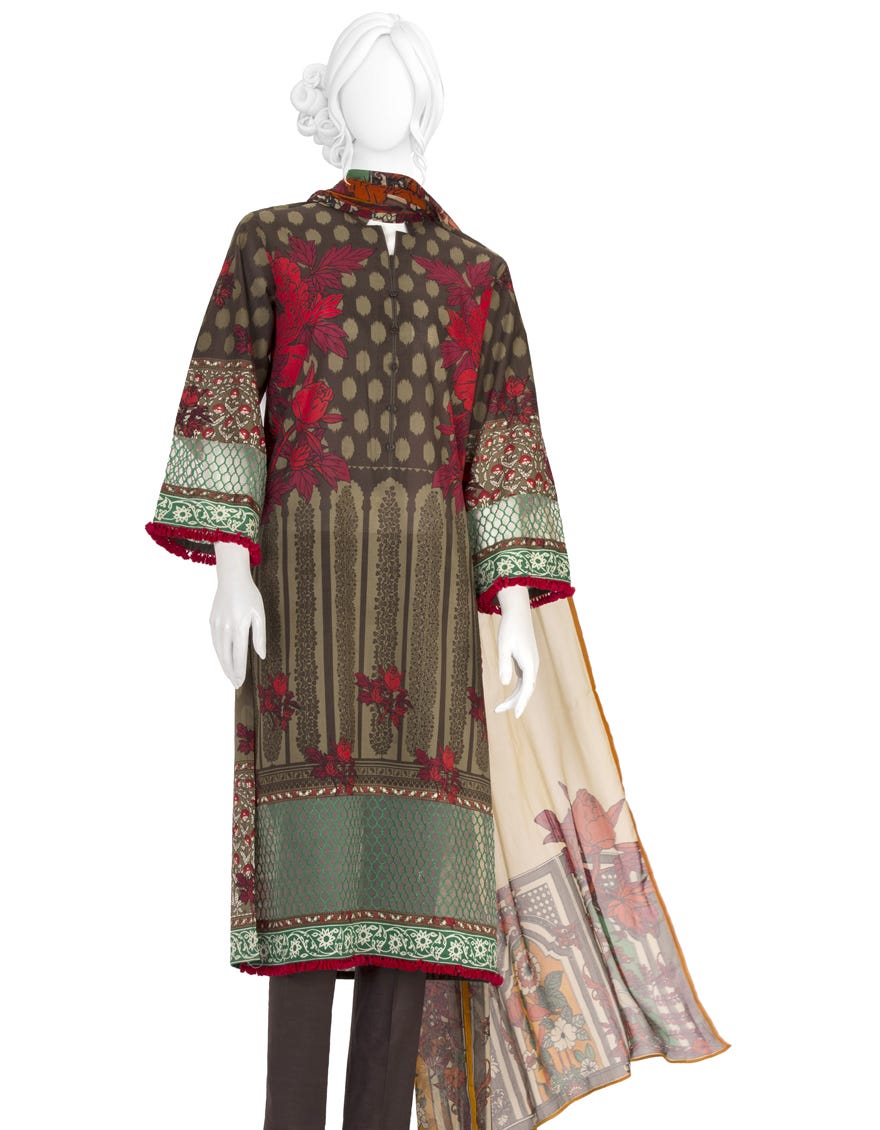 jlawn-s-19-035-s-aster-flower