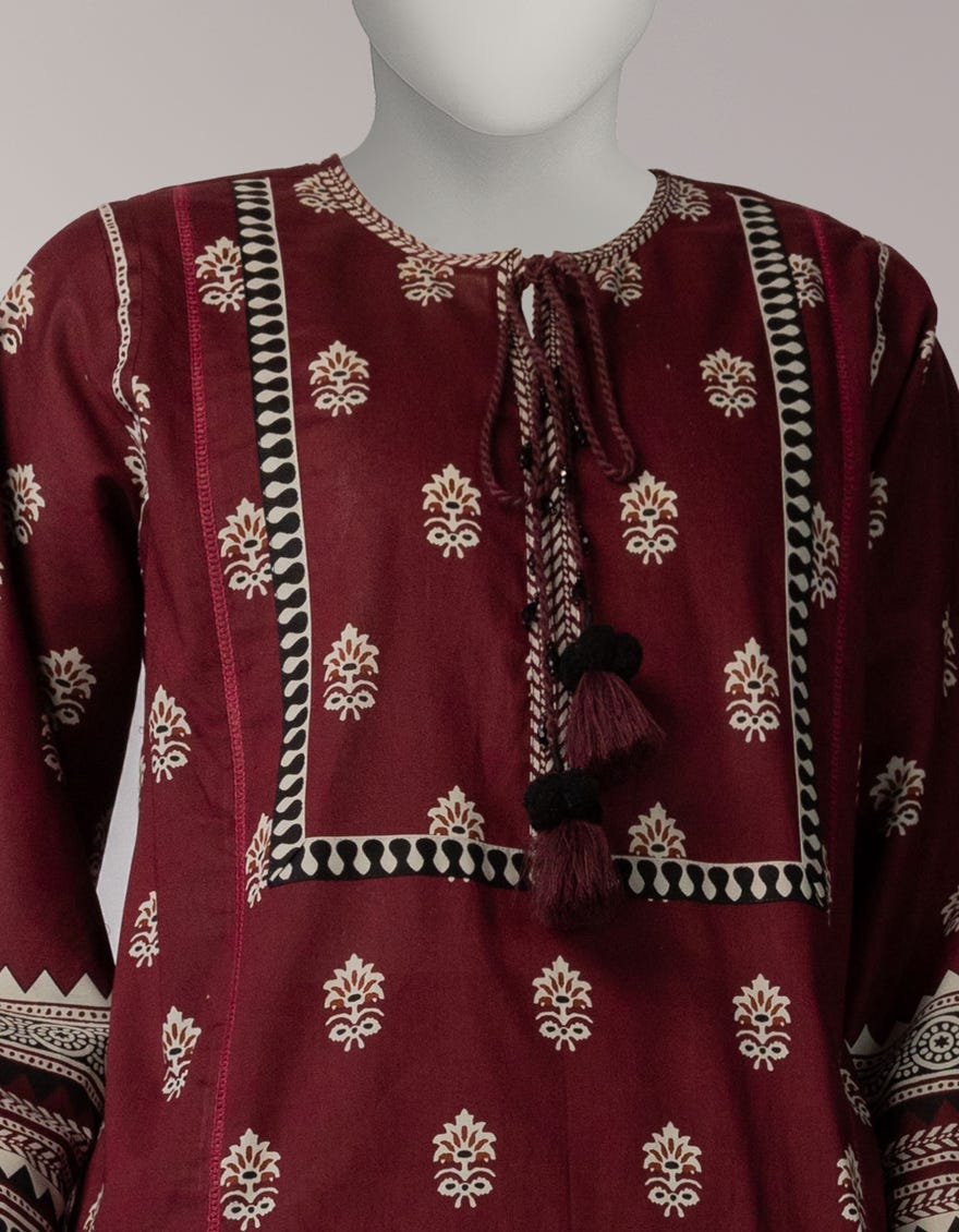 multicolor-cambric-printed-2pc-unstitched-jst252266u