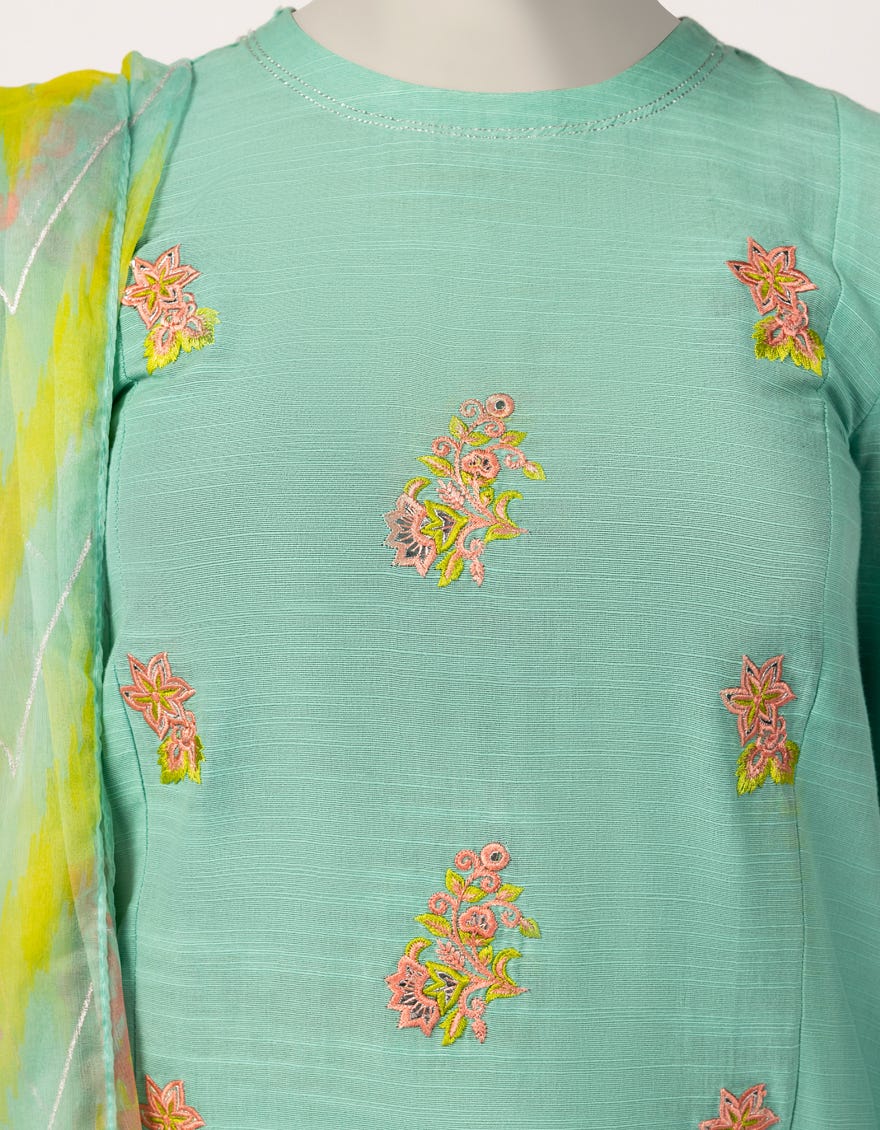 green-khaddar-embroidered-3pc-stitched-jtp25637s